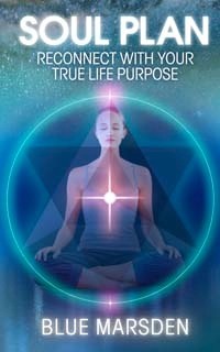 Soul Plan Book